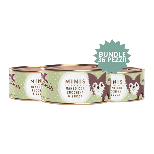 Terra Canis Minis – Manzo (2 confezioni da 18 x 100 g) 🐄