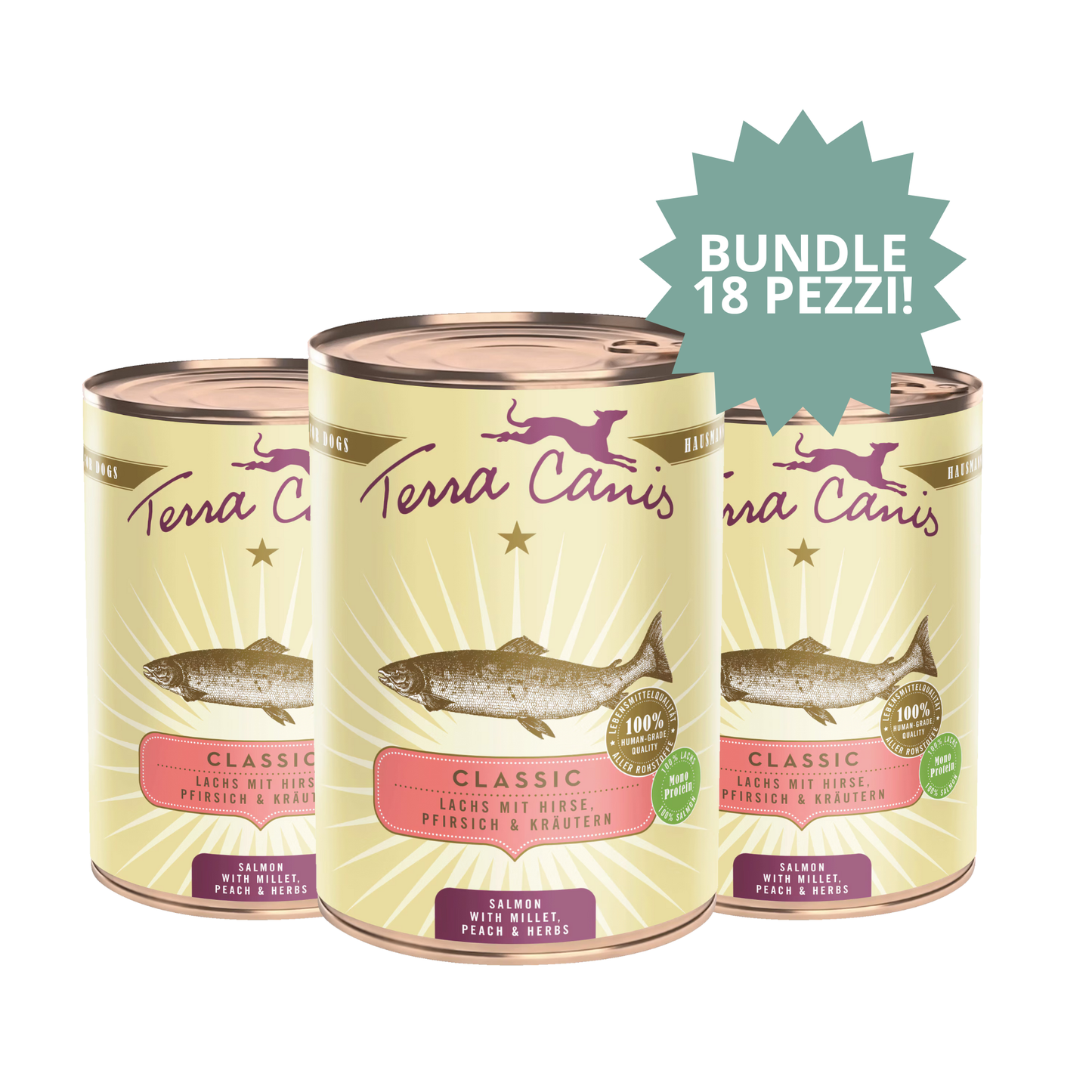 Bundle Terra Canis Classic – Salmone (3 confezioni × 6pz × 400 g) 🐟
