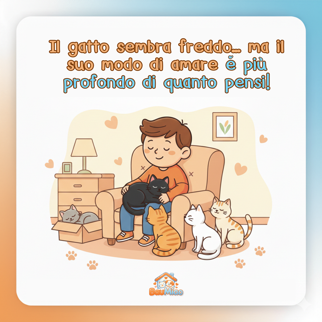Il gatto sembra freddo… ma il suo modo di amare è più profondo di quanto pensi! 🐱✨
