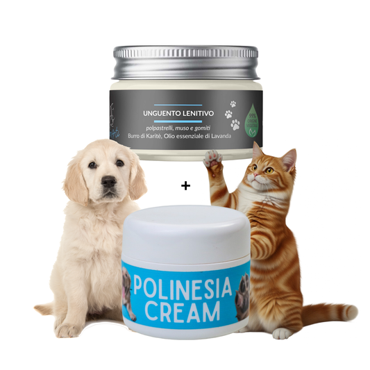 Passetti sicuri - Kit Essential