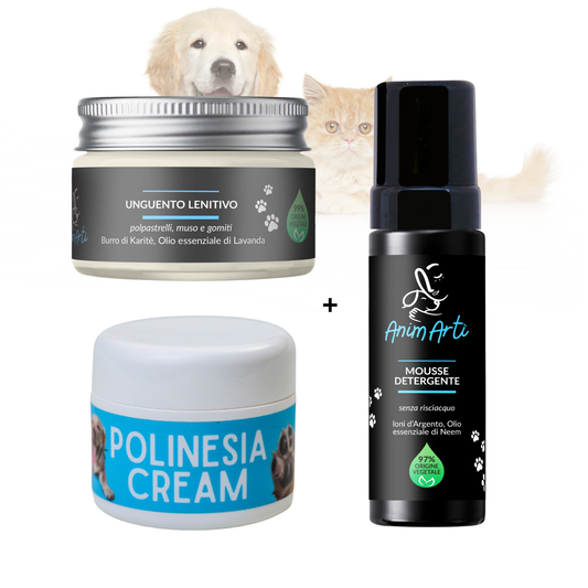 Passetti sicuri - Kit Premium