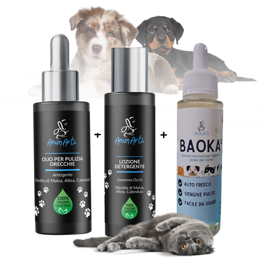 Dolci Attenzioni - Kit Premium