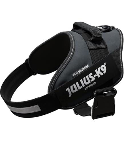 JULIUS K-9 Pettorina Rixie M/O Grigia (Giac.1)