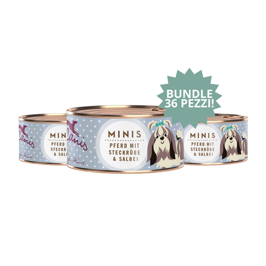 Terra Canis Minis – Cavallo (2 confezioni da 18 x 100 g) 🐴