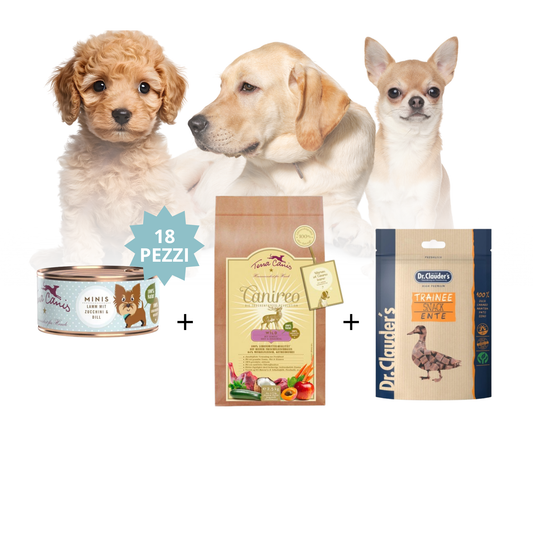 Kit Alimentazione Completa – Premium