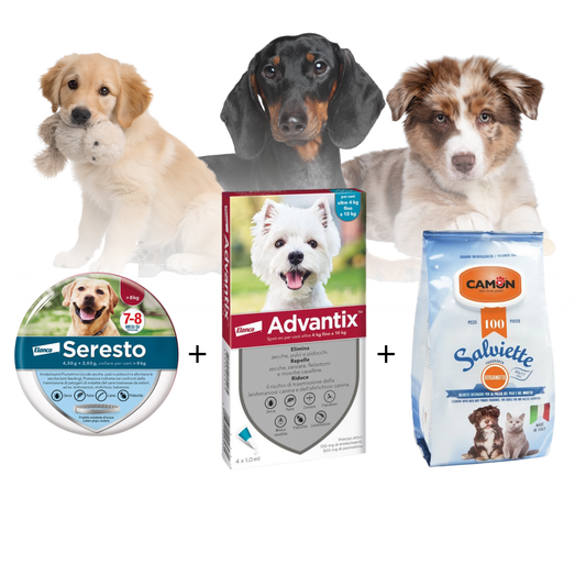 Kit Luxury Complete Care