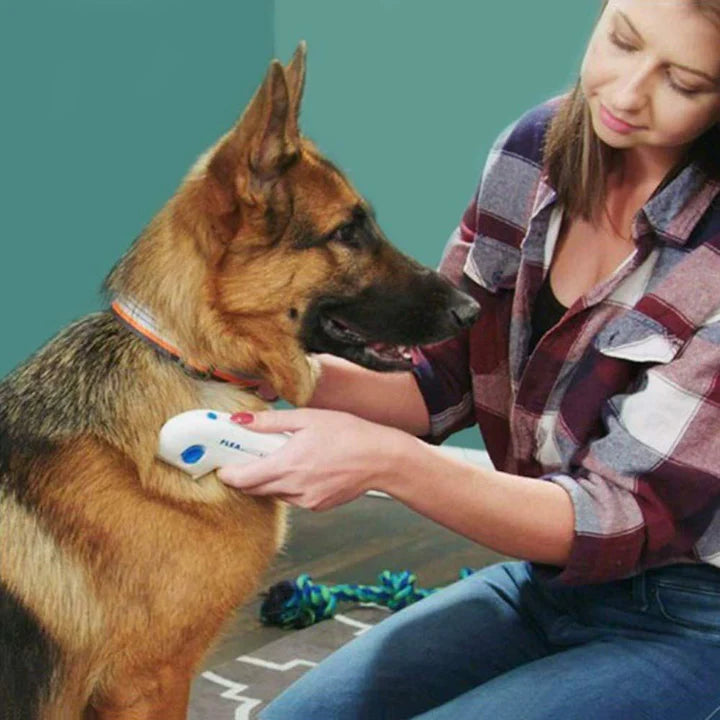 Pettine Elettrico Antipulci per Cani e Gatti – Flea Doctor