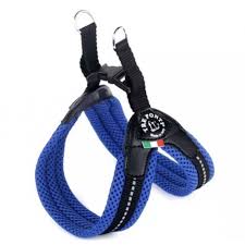 Tre Ponti Pettorina Non Reg. 1.5 Blu (Giac.1)